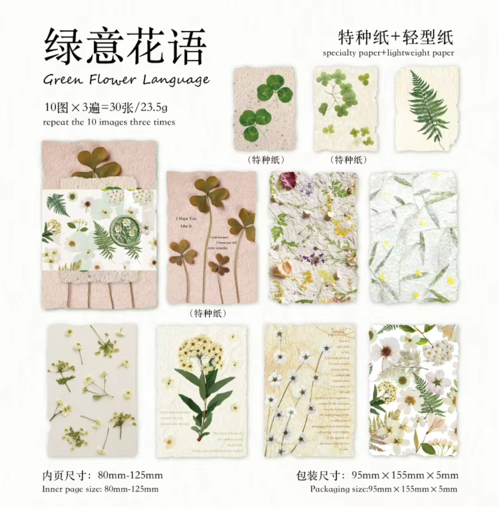 30 Papeles Flores Secas & Textura