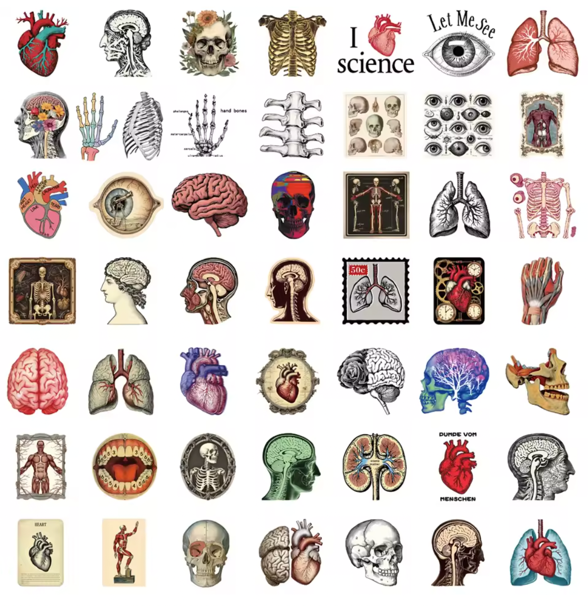50 Stickers Vinil Cuerpo Humano