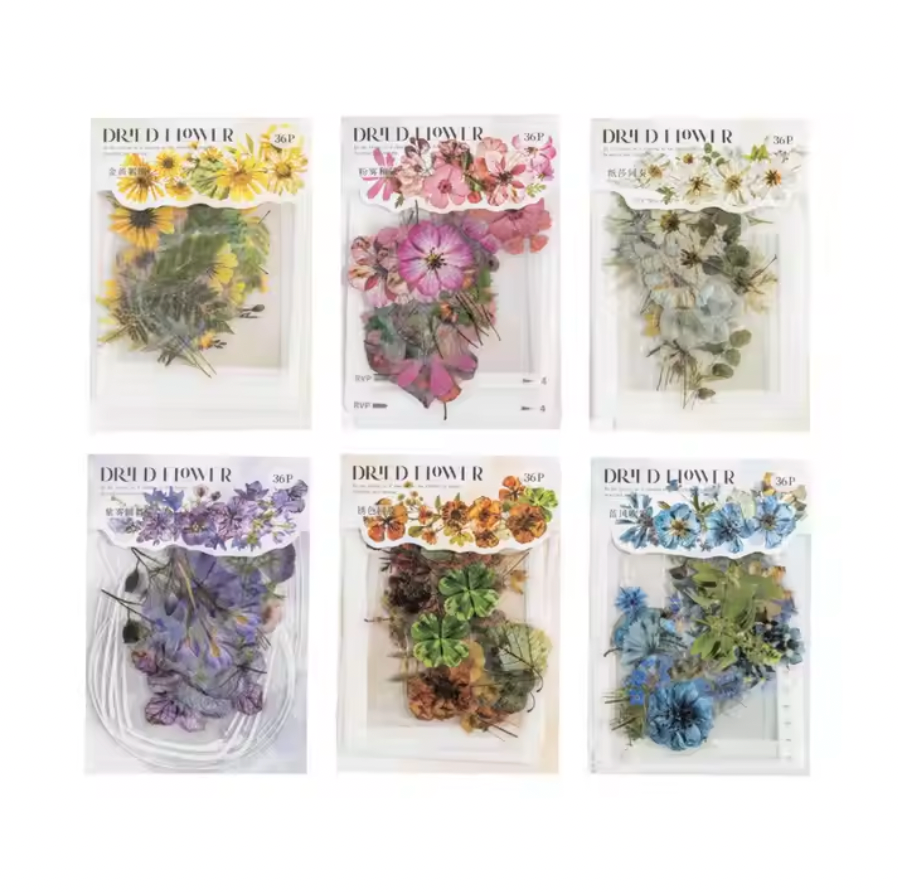 36 Stickers Flores secas, marcos & frascos