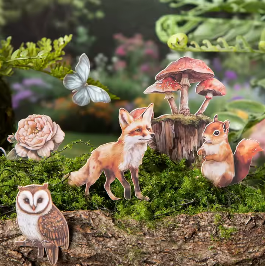 25 Hermosas cartulinas Bosque