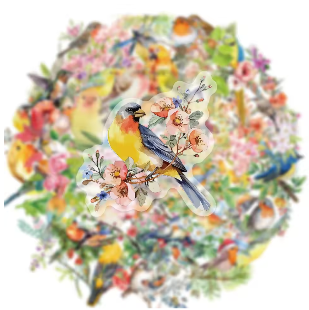 50 Stickers grandes transparentes Parajos