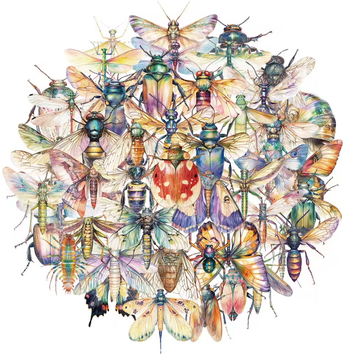 50 Stickers Transparentes Mariposas & libelulas