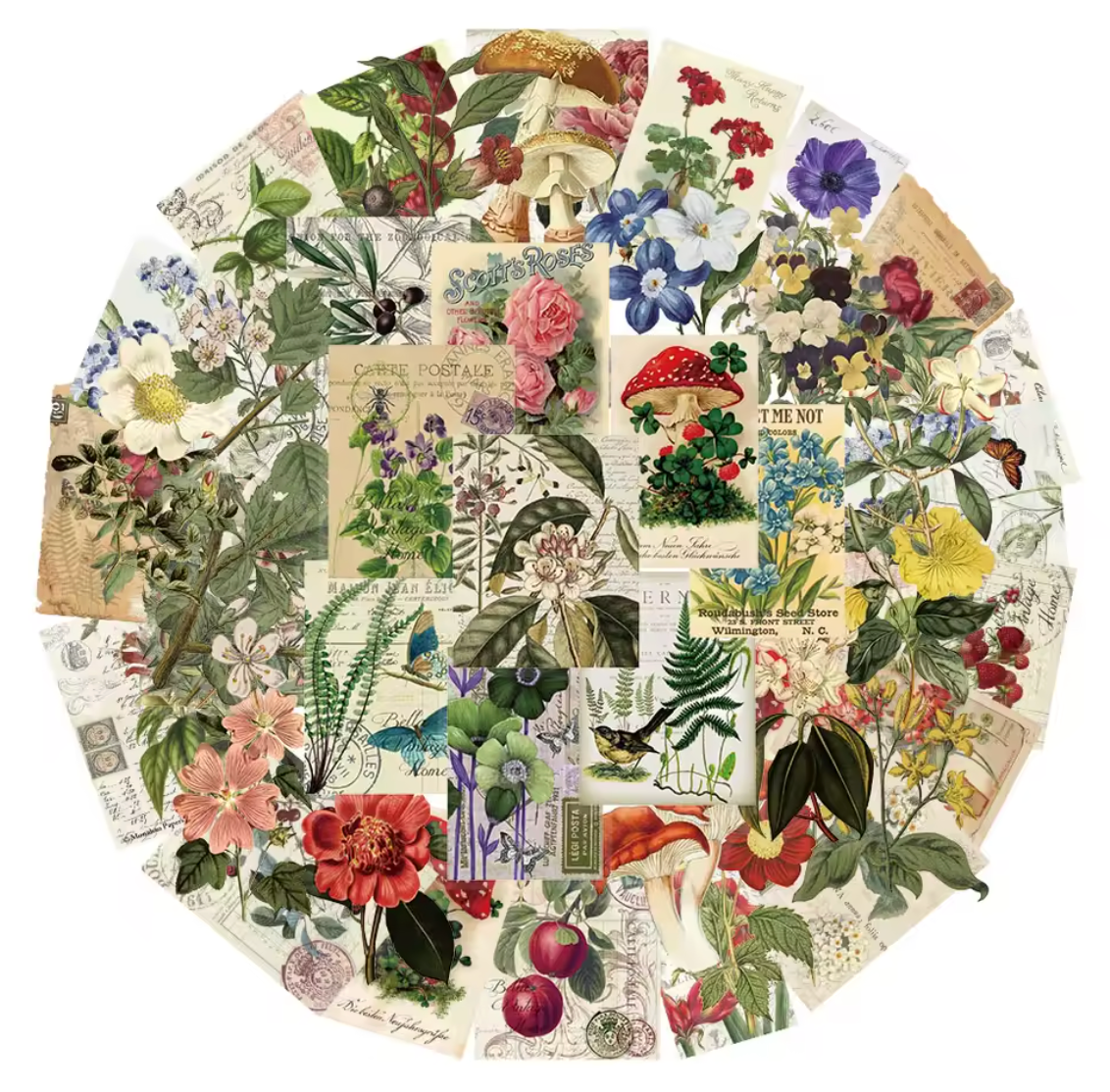 50 Stickers transparentes flores vintage