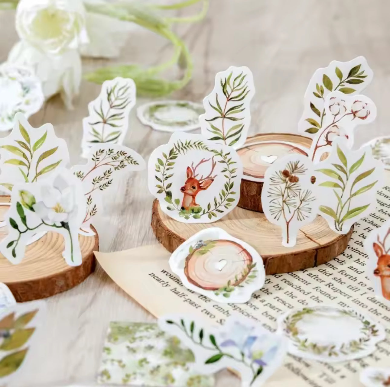 Cajita de Stickers Bosque & venado