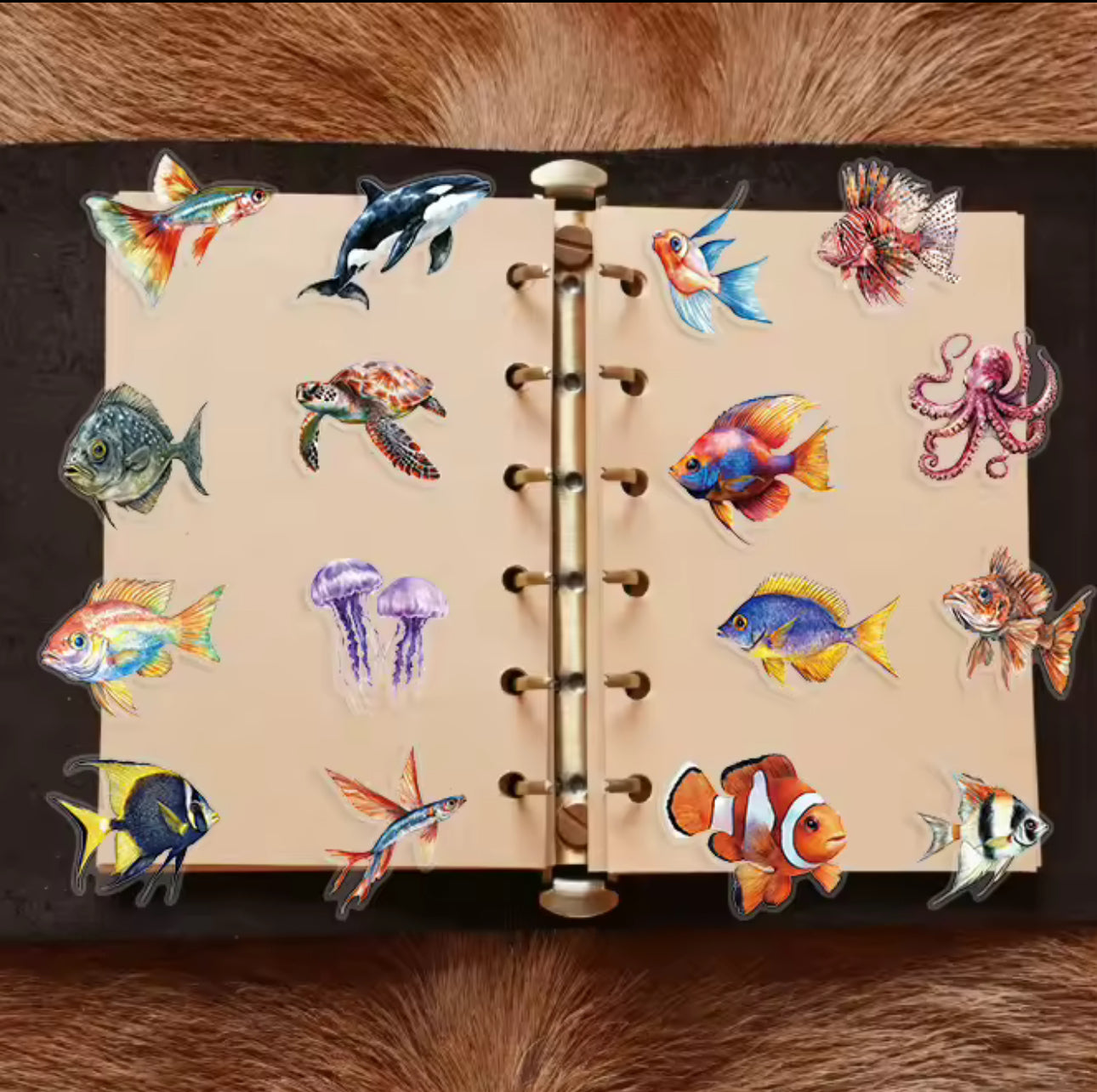 50 Stickers Transparentes del mar
