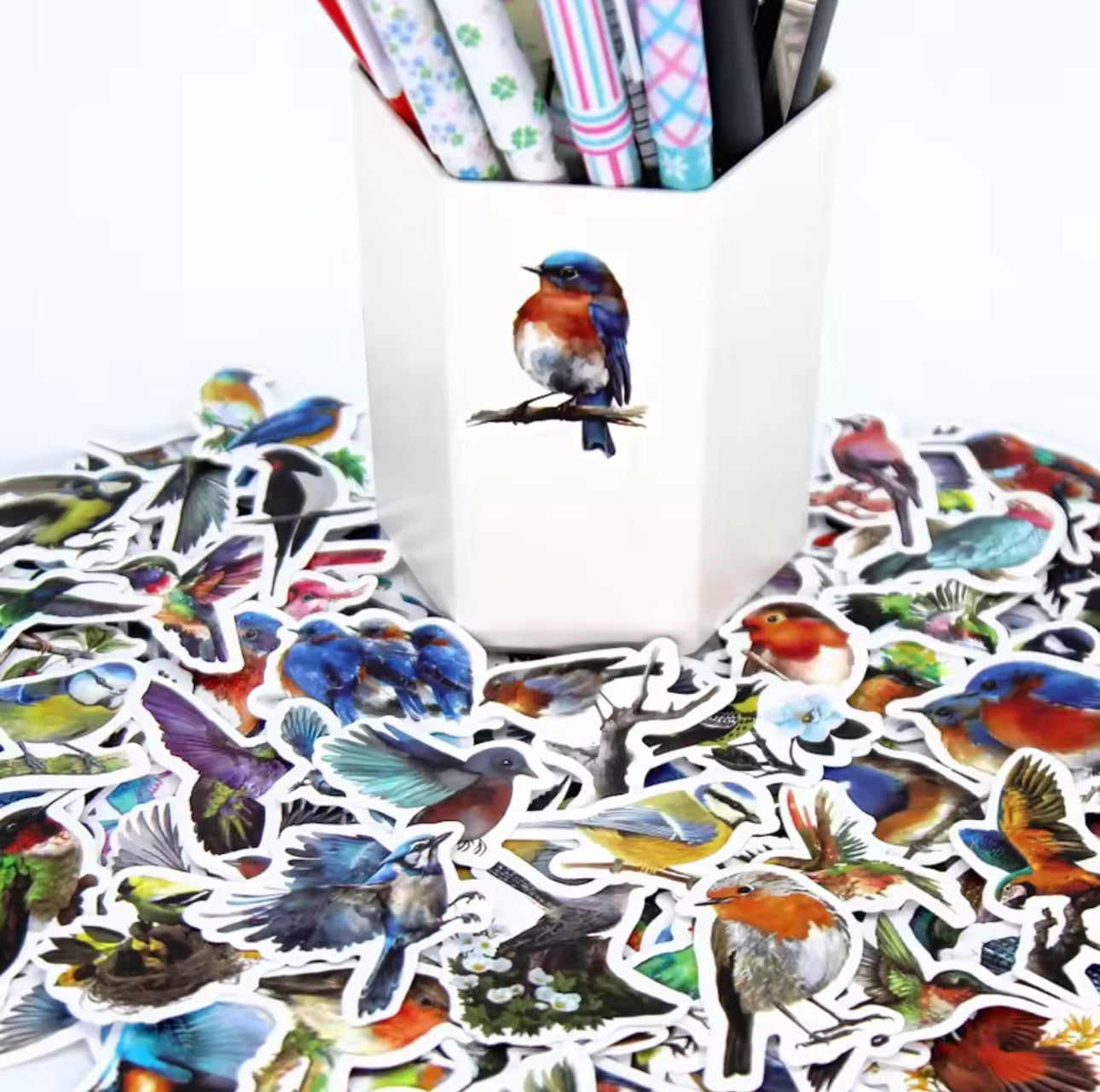 100 Stickers Vinil parajos
