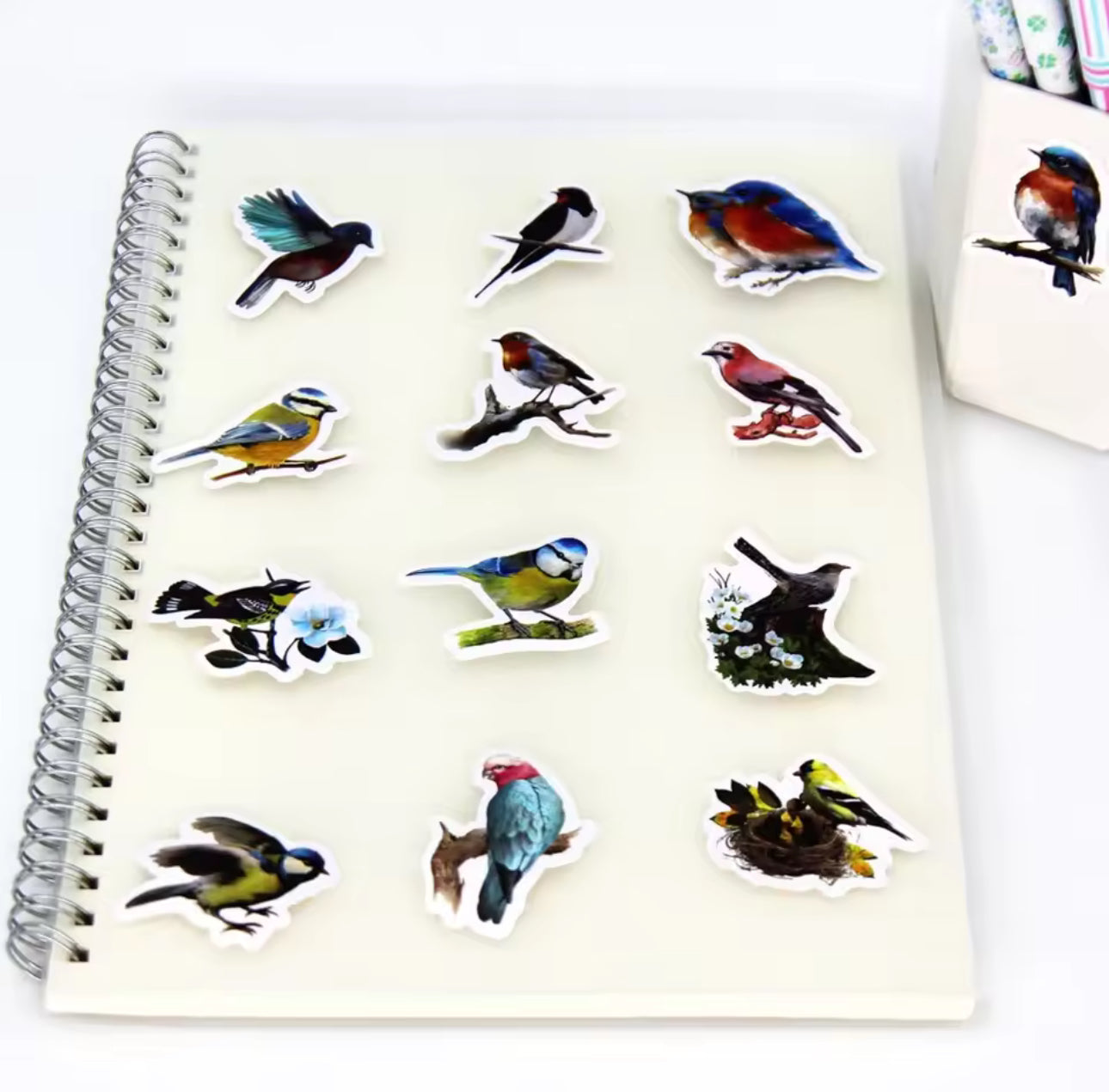 100 Stickers Vinil parajos