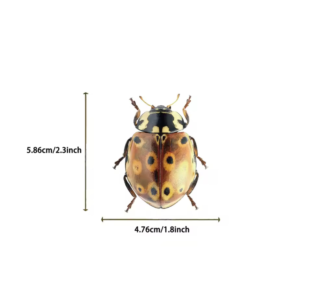 50 Stickers Transparentes Insectos