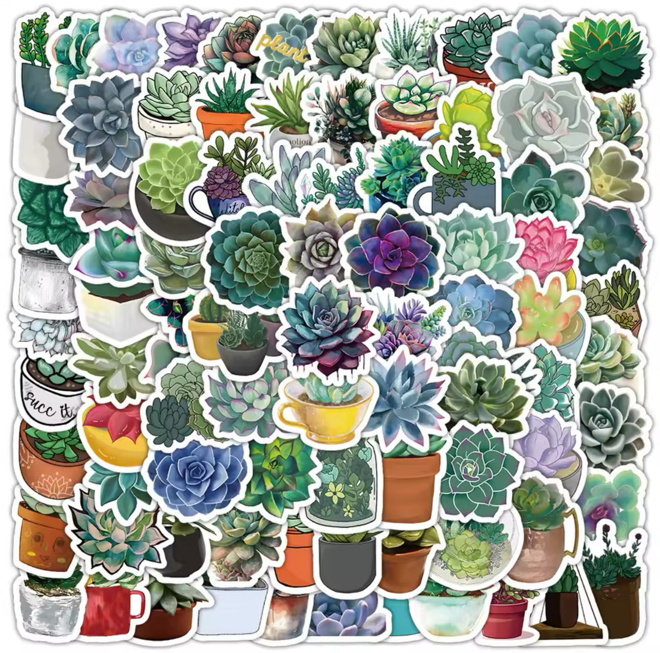 100 Stickers Vinil Suculentas