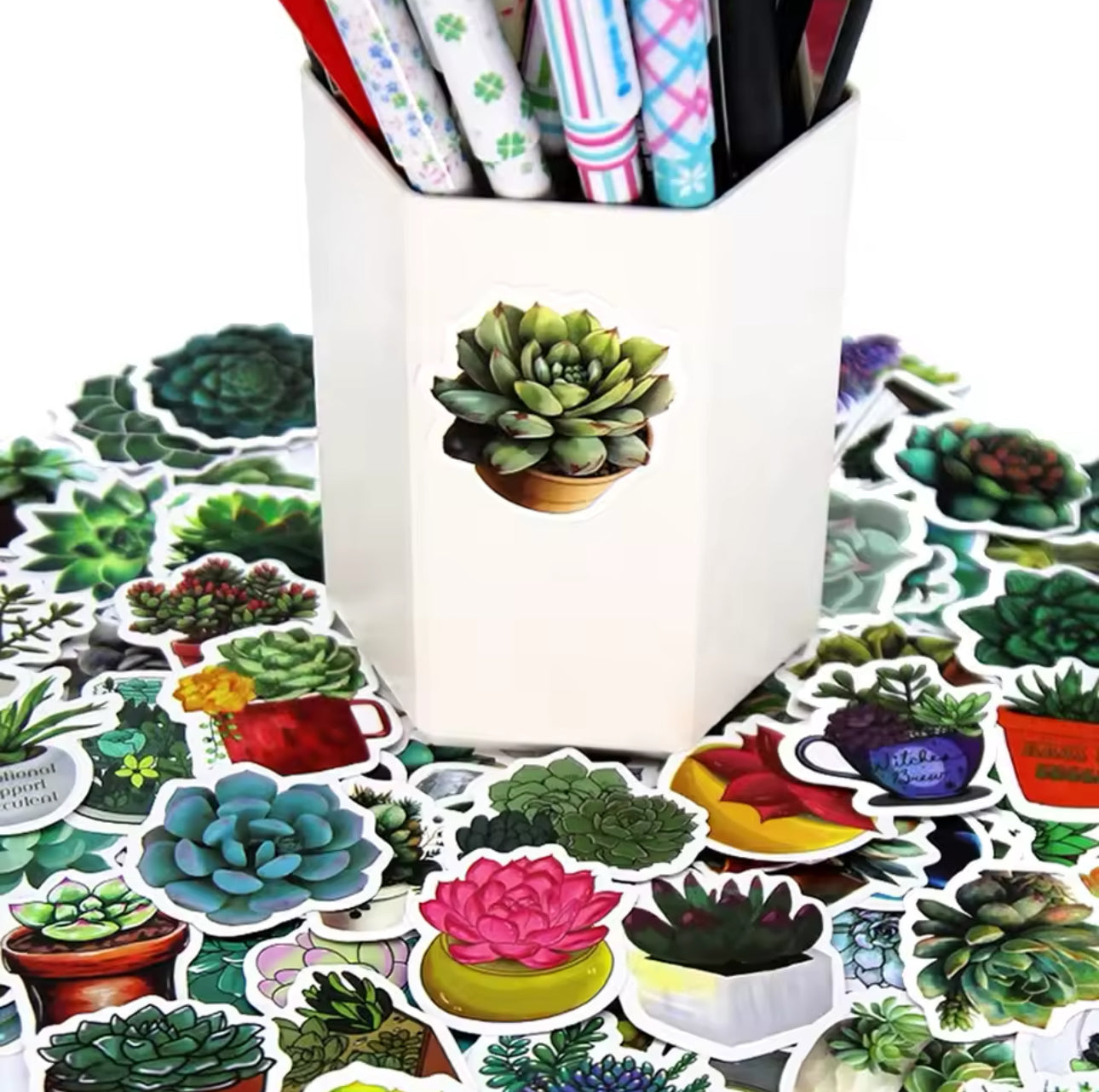 100 Stickers Vinil Suculentas