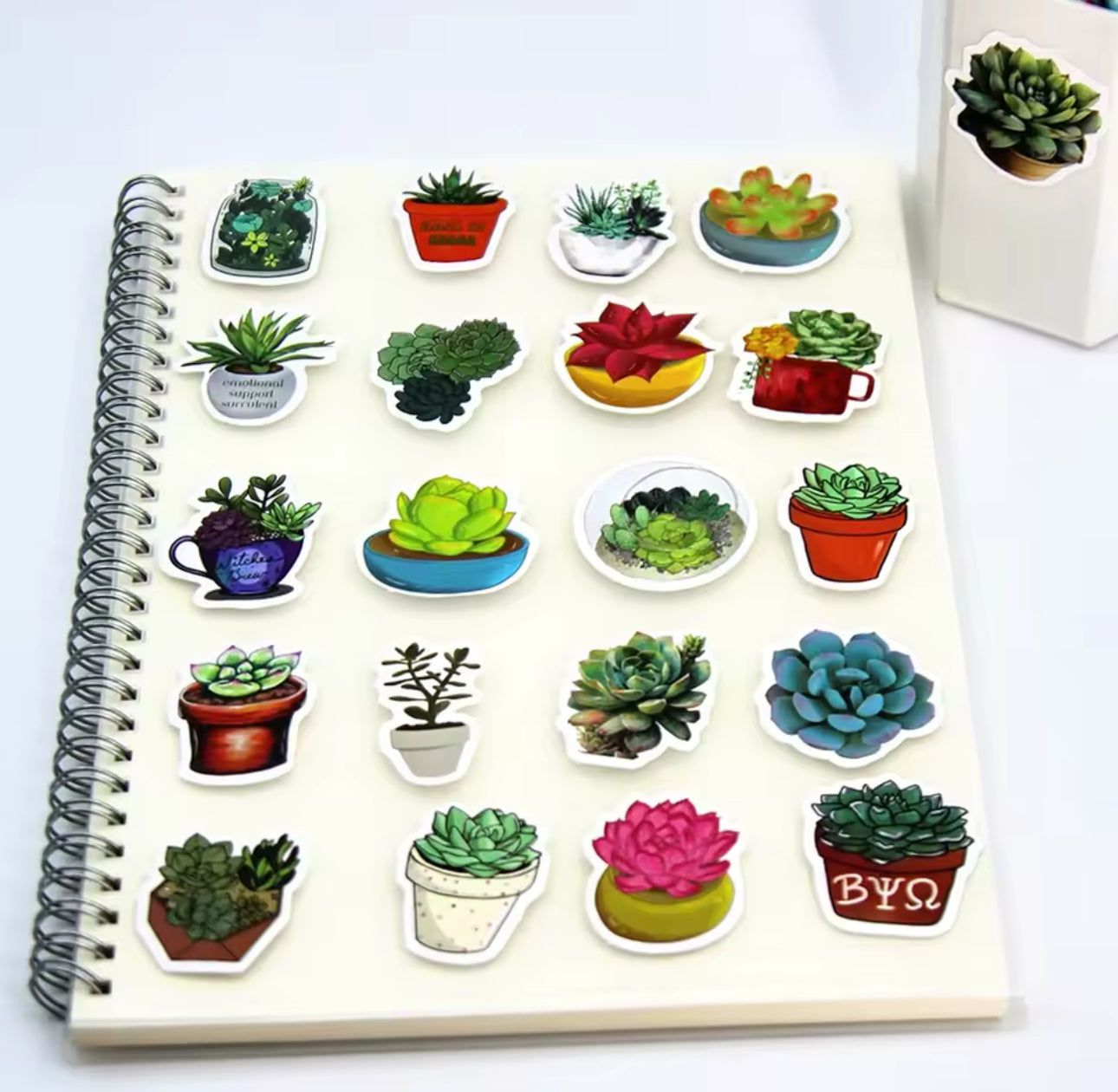 100 Stickers Vinil Suculentas