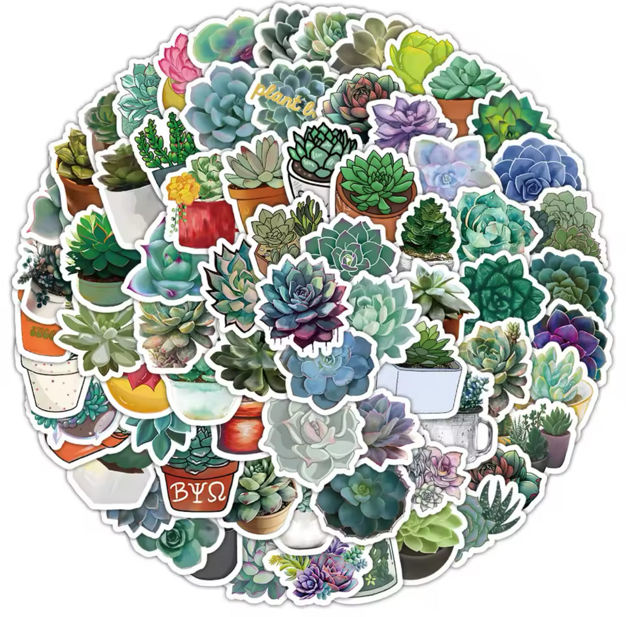 100 Stickers Vinil Suculentas