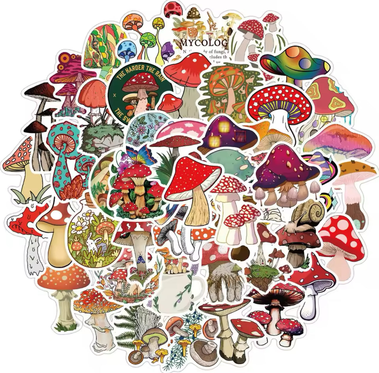 50 Stickers Vinil Hongos
