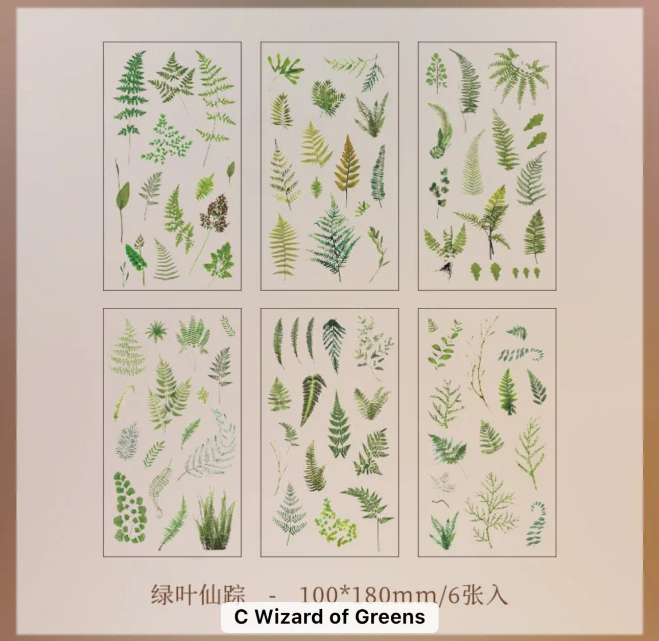 6 Hojas de Stickers Flores
