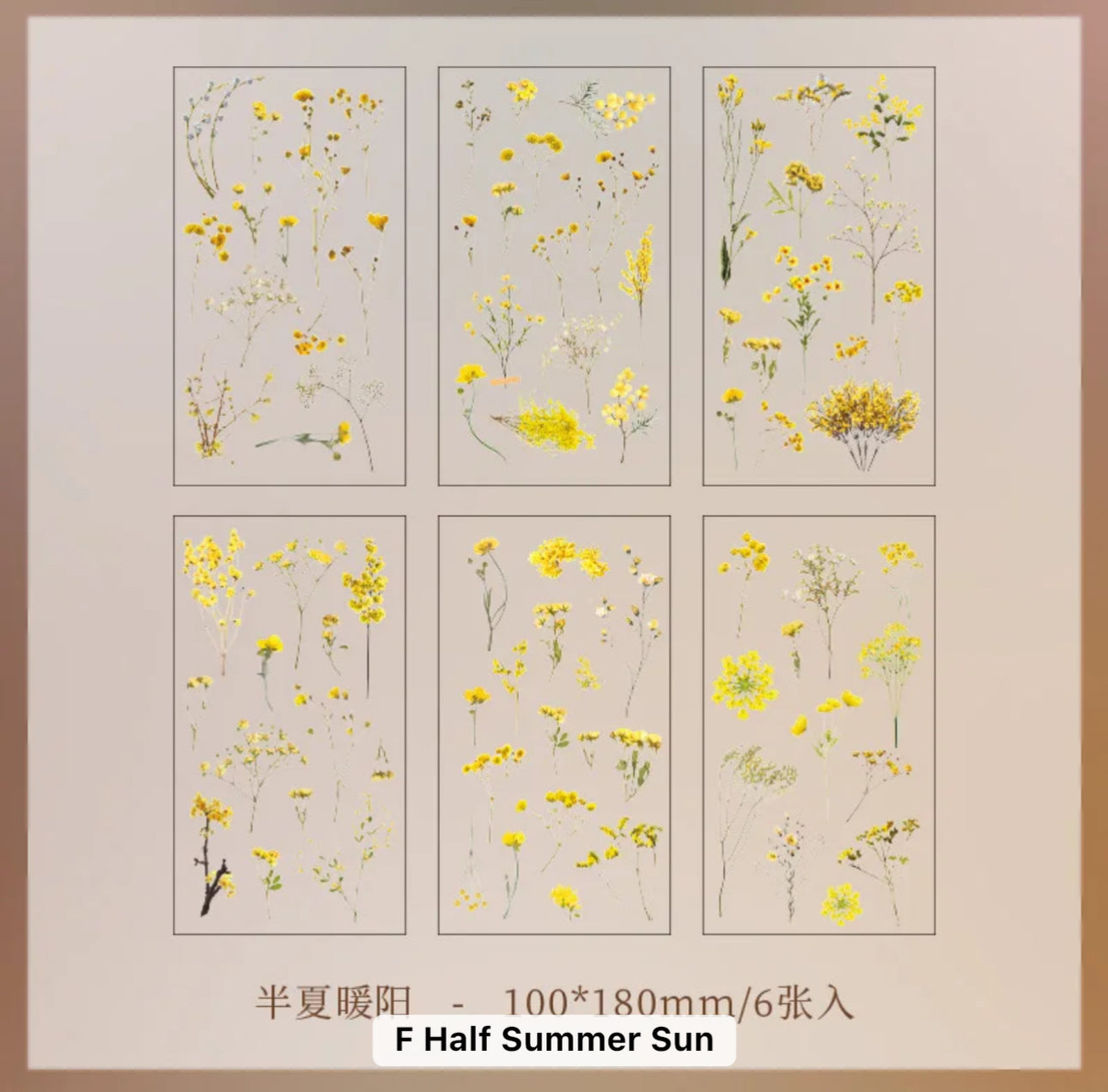 6 Hojas de Stickers Flores