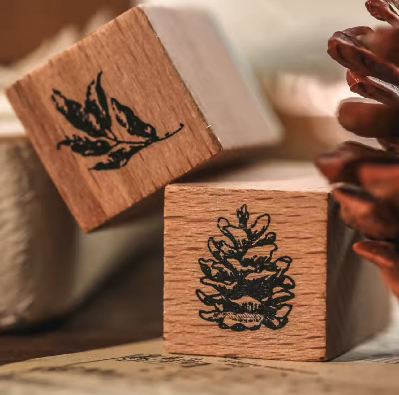 Sellos de Madera Hongos & Lunas