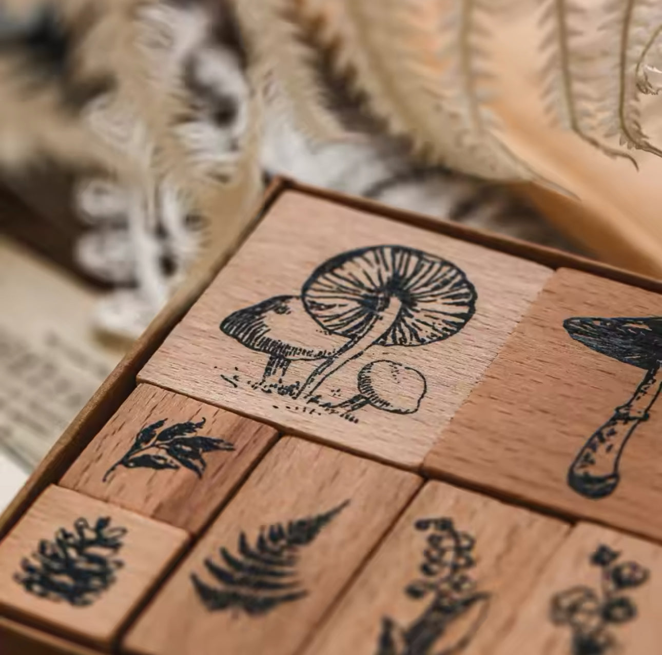 Sellos de Madera Hongos & Lunas