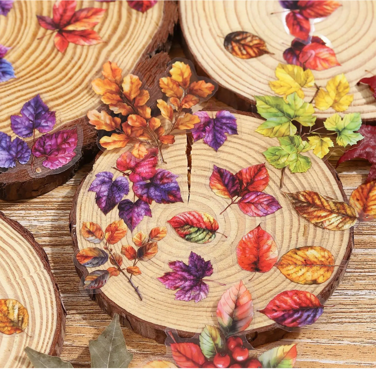 Stickers Hojas arboles de otoño