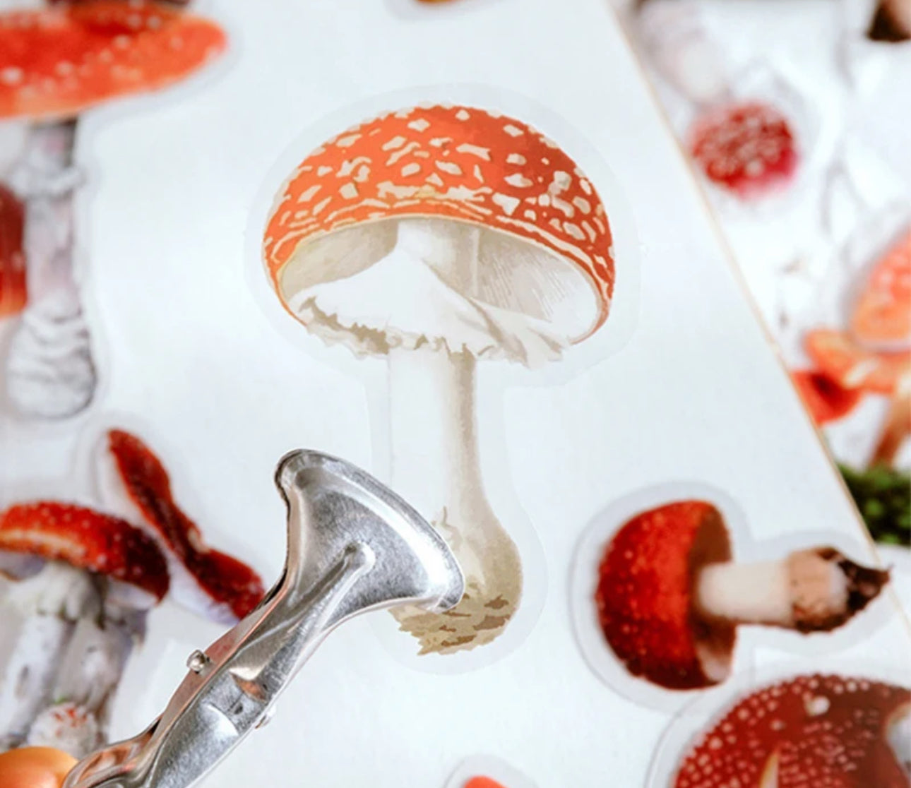 40 Stickers Naturaleza