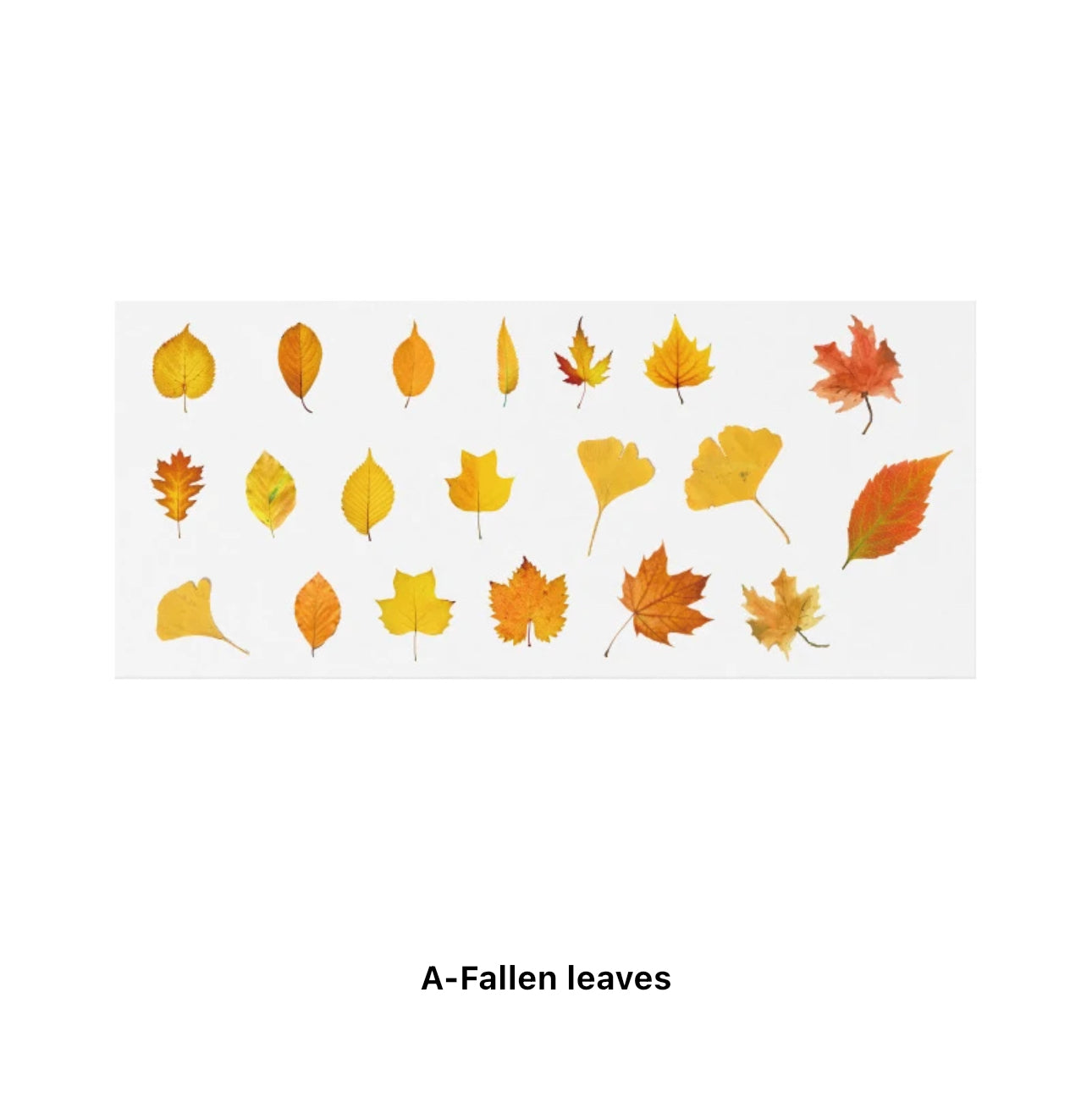 40 Stickers Naturaleza