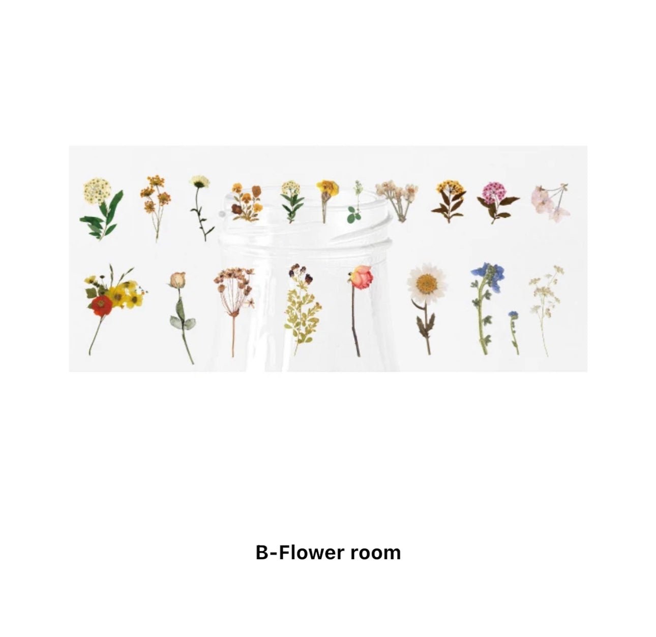 40 Stickers Naturaleza