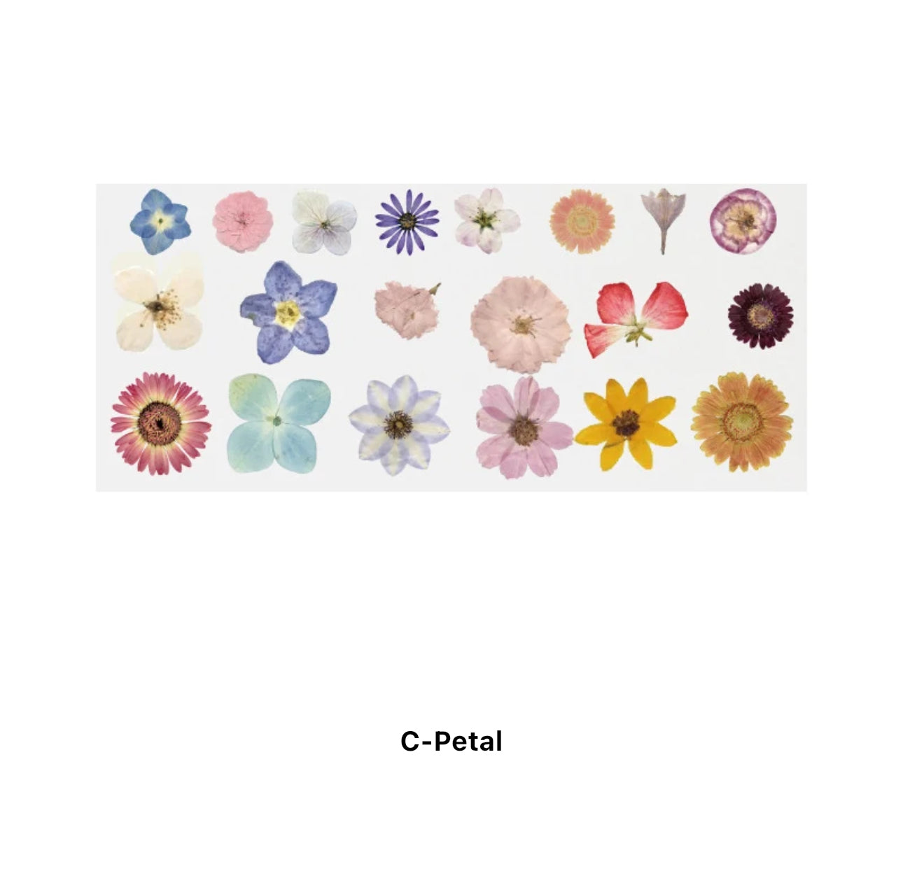 40 Stickers Naturaleza