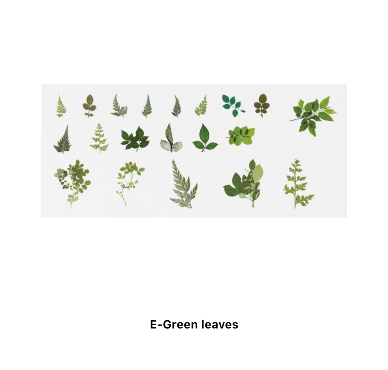 40 Stickers Naturaleza