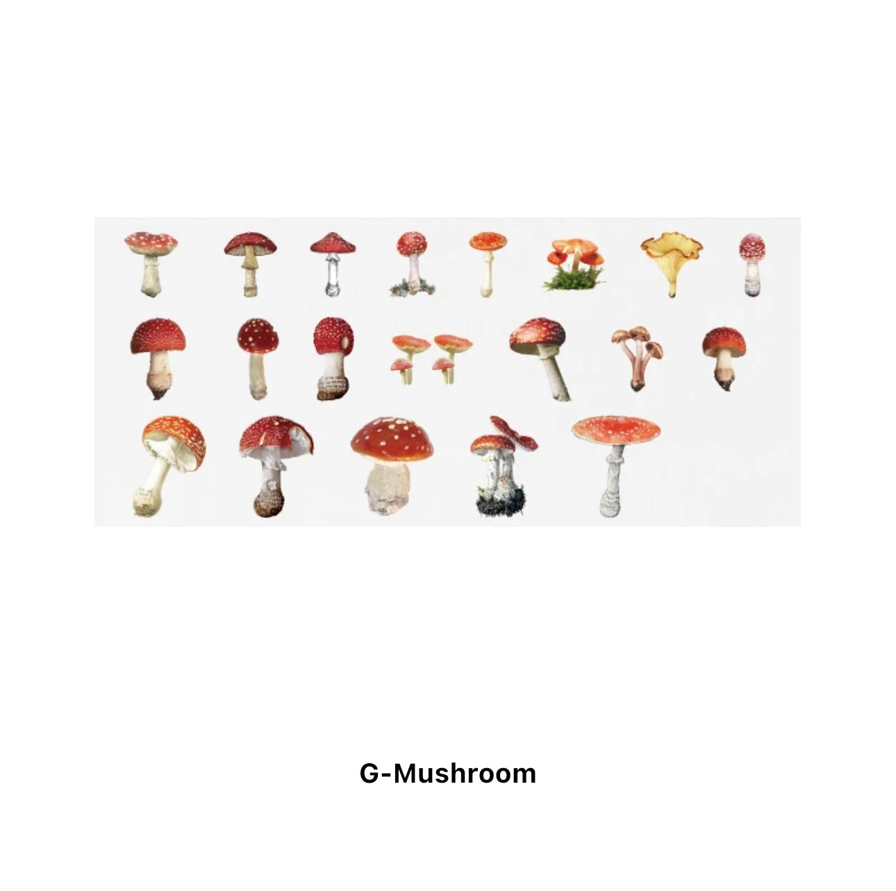 40 Stickers Naturaleza