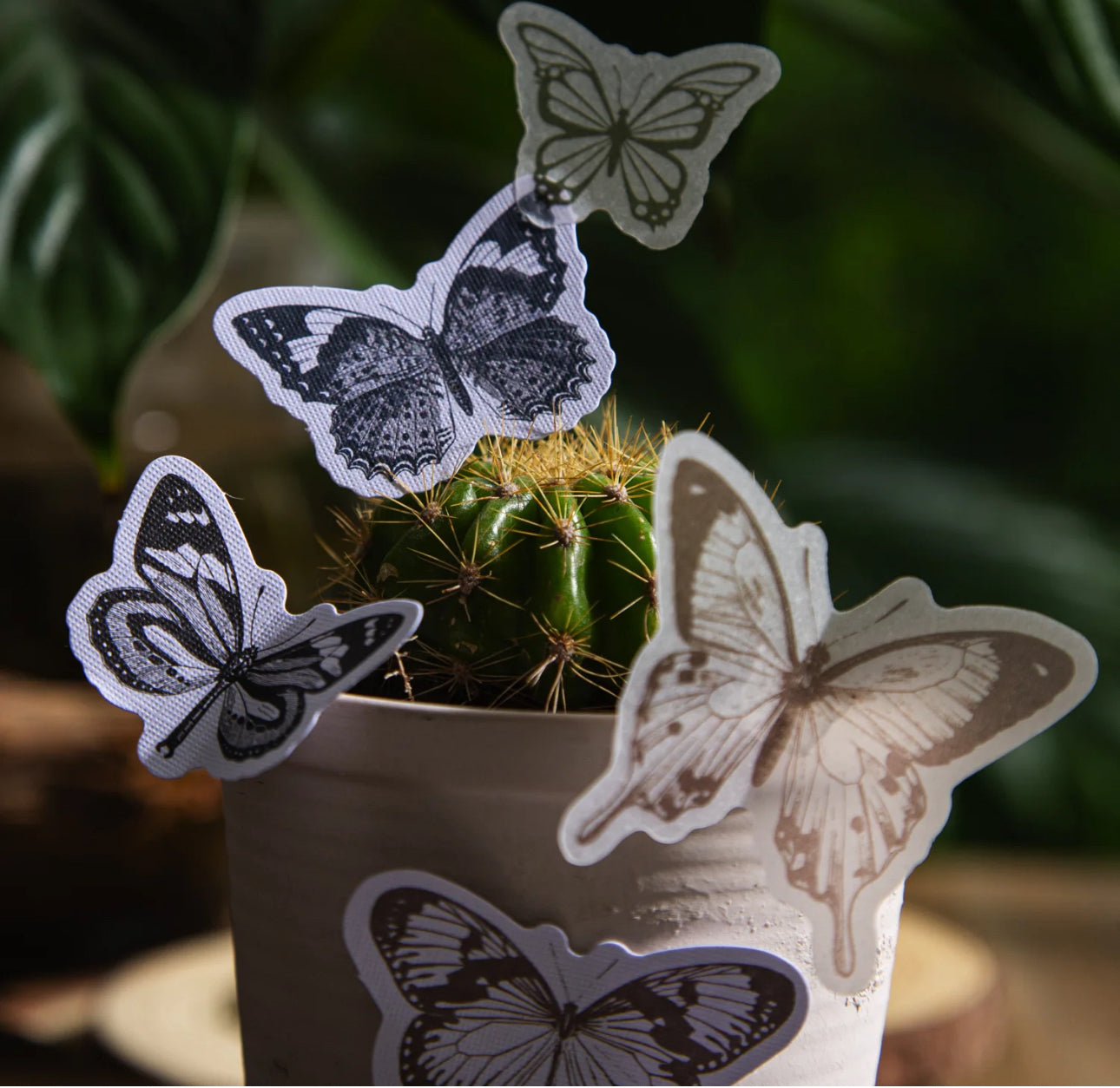 30 Stickers Mariposas