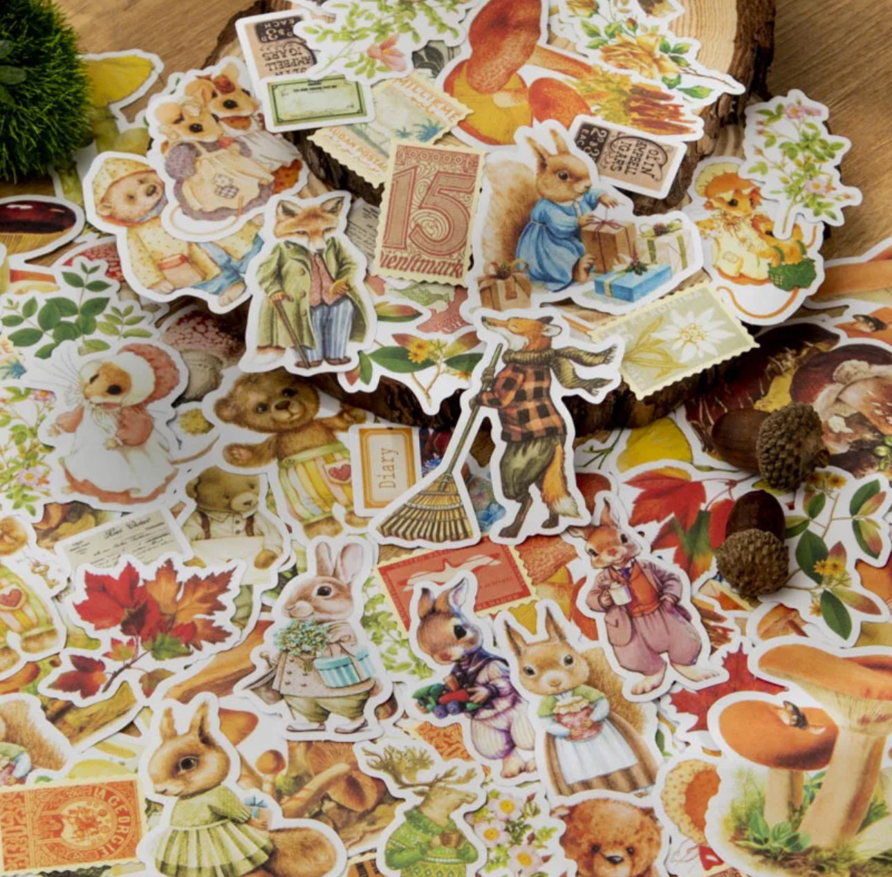 50 Stickers Otoño Animales, hongos & timbres