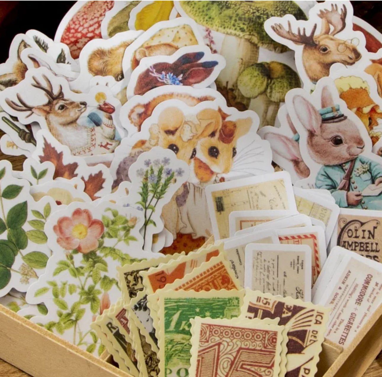 50 Stickers Otoño Animales, hongos & timbres