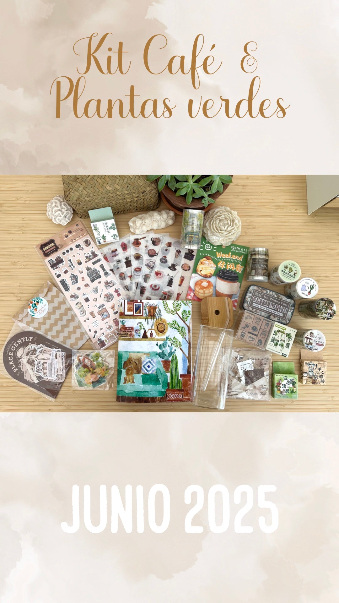 ☕️🧋🌿✨ENVIO GRATIS (del 9/10 al 12/10) KIT CAFÉ & PLANTAS VERDES ✨🌿🧋☕️