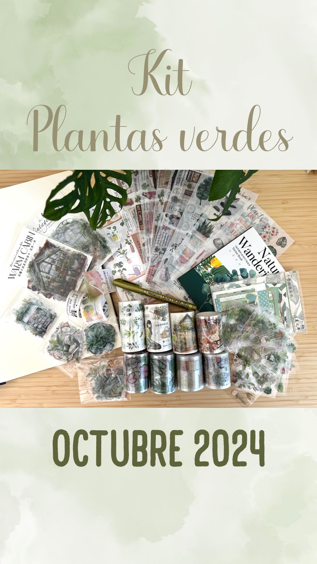 🌿🪴 KIT PLANTAS VERDES 🪴🌿