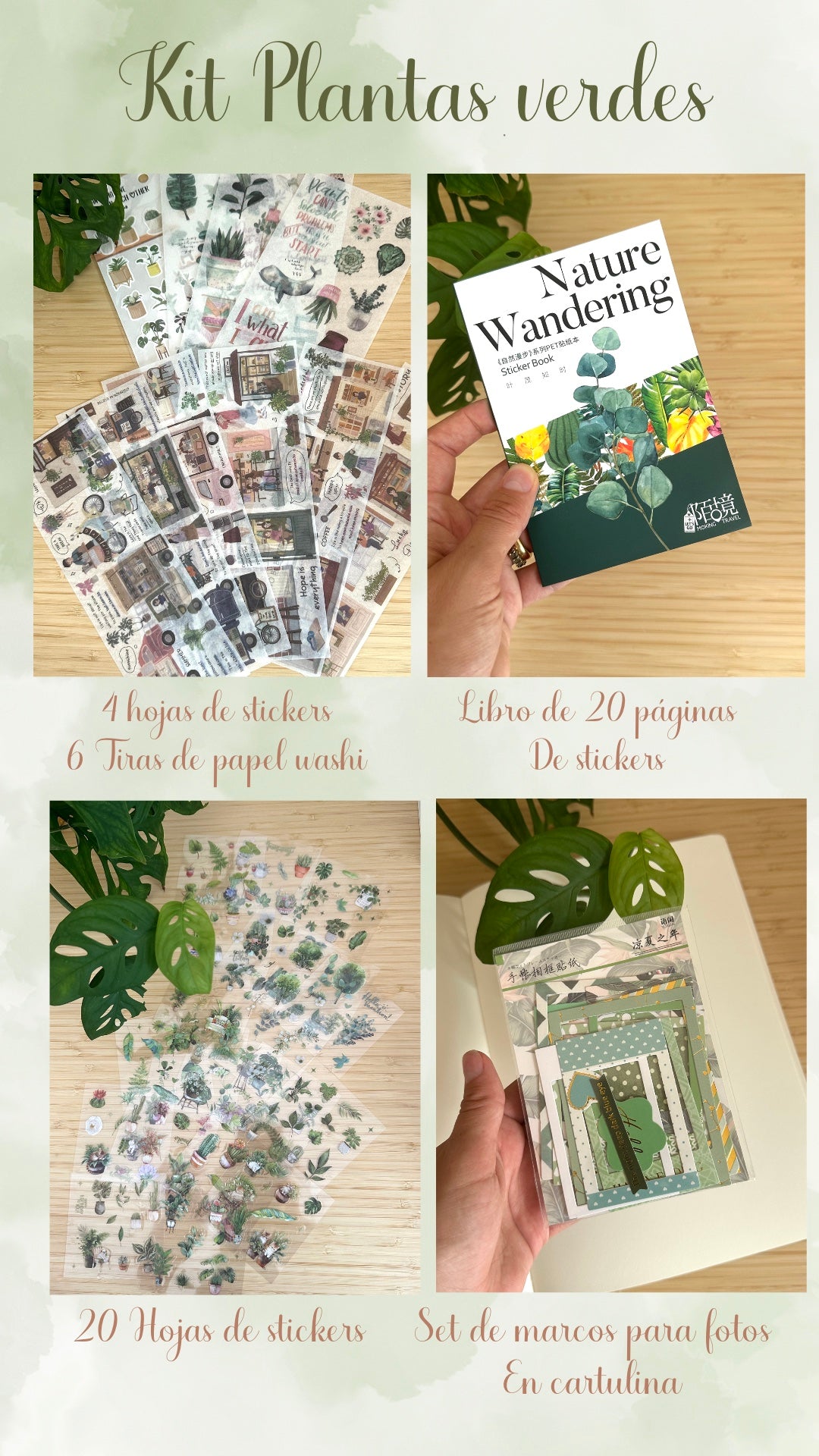 🌿🪴 KIT PLANTAS VERDES 🪴🌿