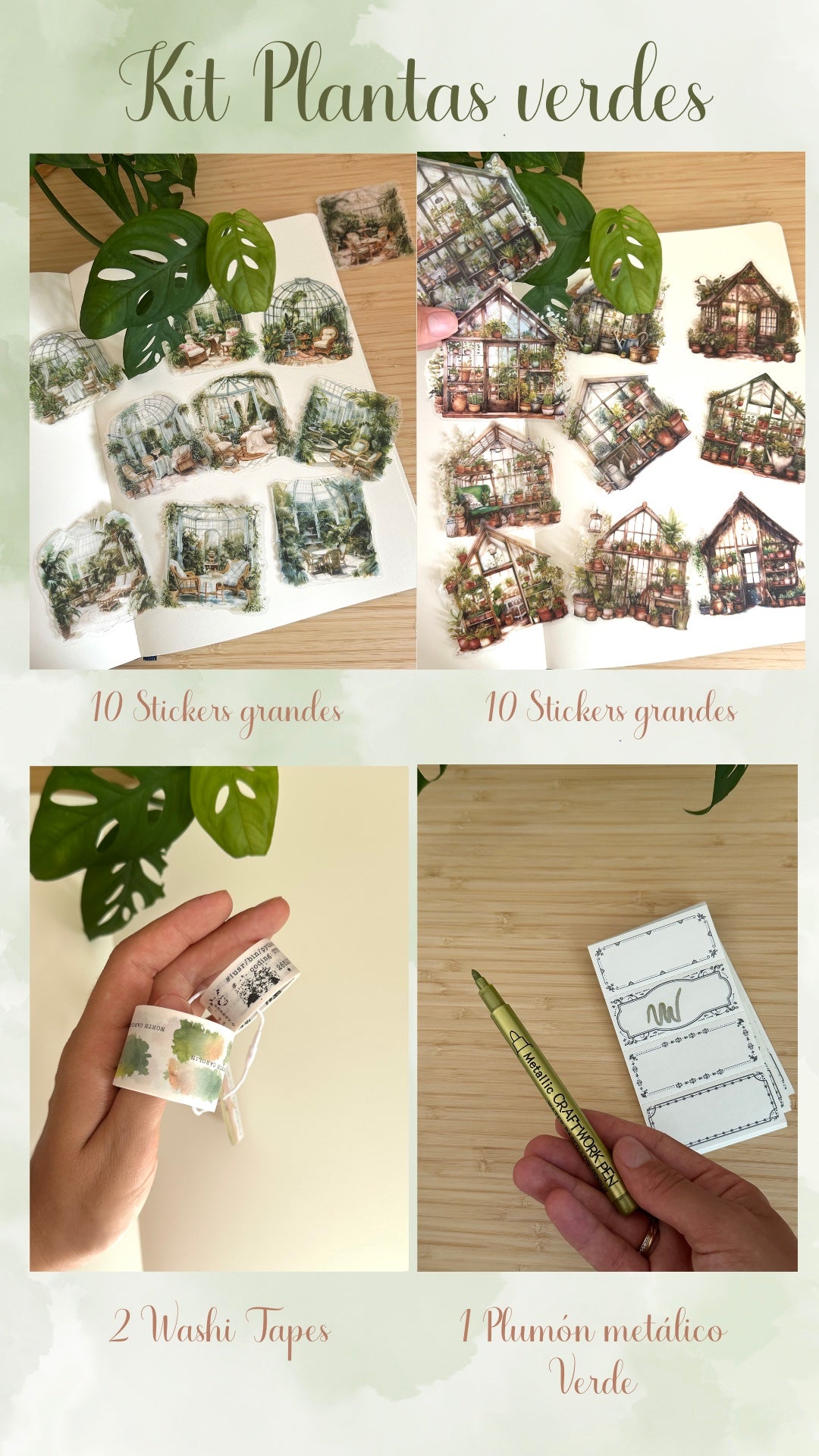 🌿🪴 KIT PLANTAS VERDES 🪴🌿