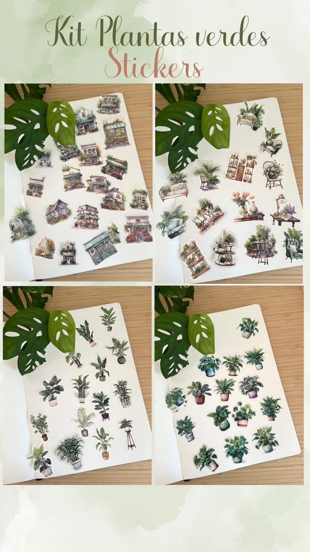 🌿🪴 KIT PLANTAS VERDES 🪴🌿
