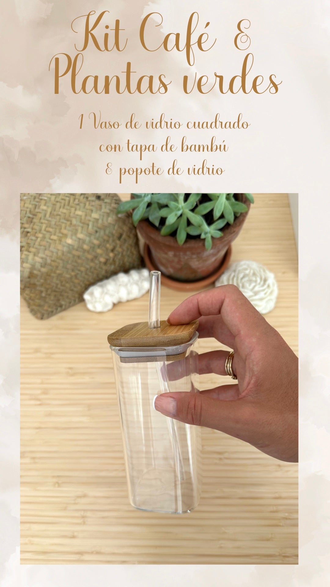 ☕️🧋🌿✨ENVIO GRATIS (del 9/10 al 12/10) KIT CAFÉ & PLANTAS VERDES ✨🌿🧋☕️