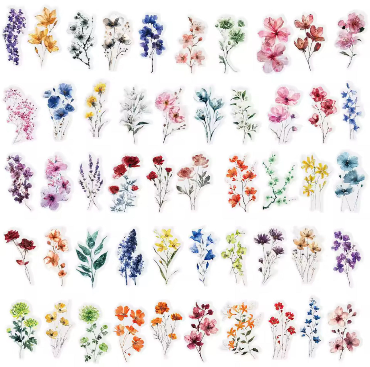 50 Stickers Transparentes Flores del campo