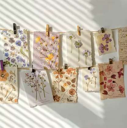 30 Papeles Flores Secas & Textura