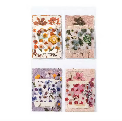 30 Papeles Flores Secas & Textura