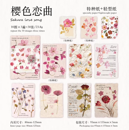 30 Papeles Flores Secas & Textura