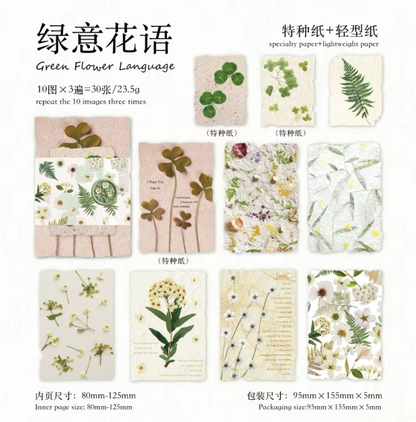 30 Papeles Flores Secas & Textura