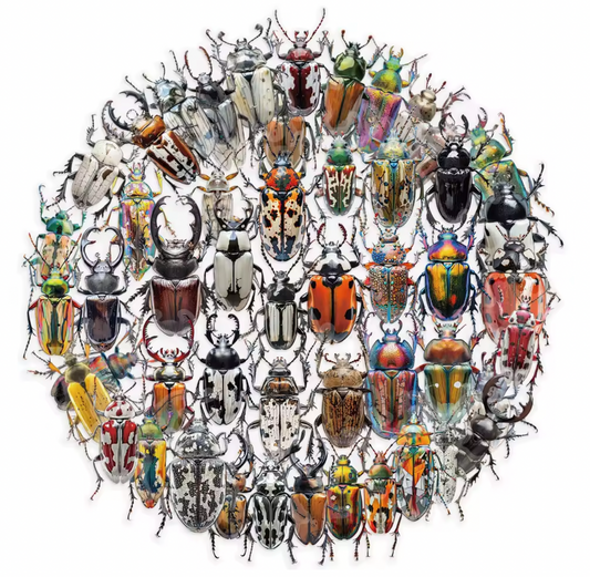 50 Stickers Grandes transparentes Insectos