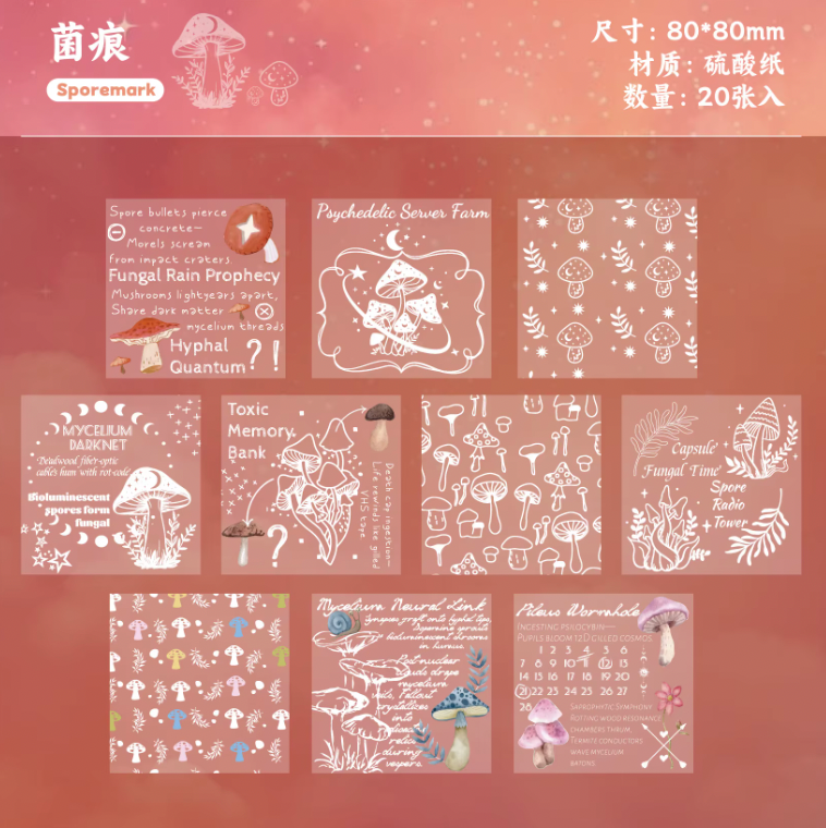 20 Papeles transparentes & blanco