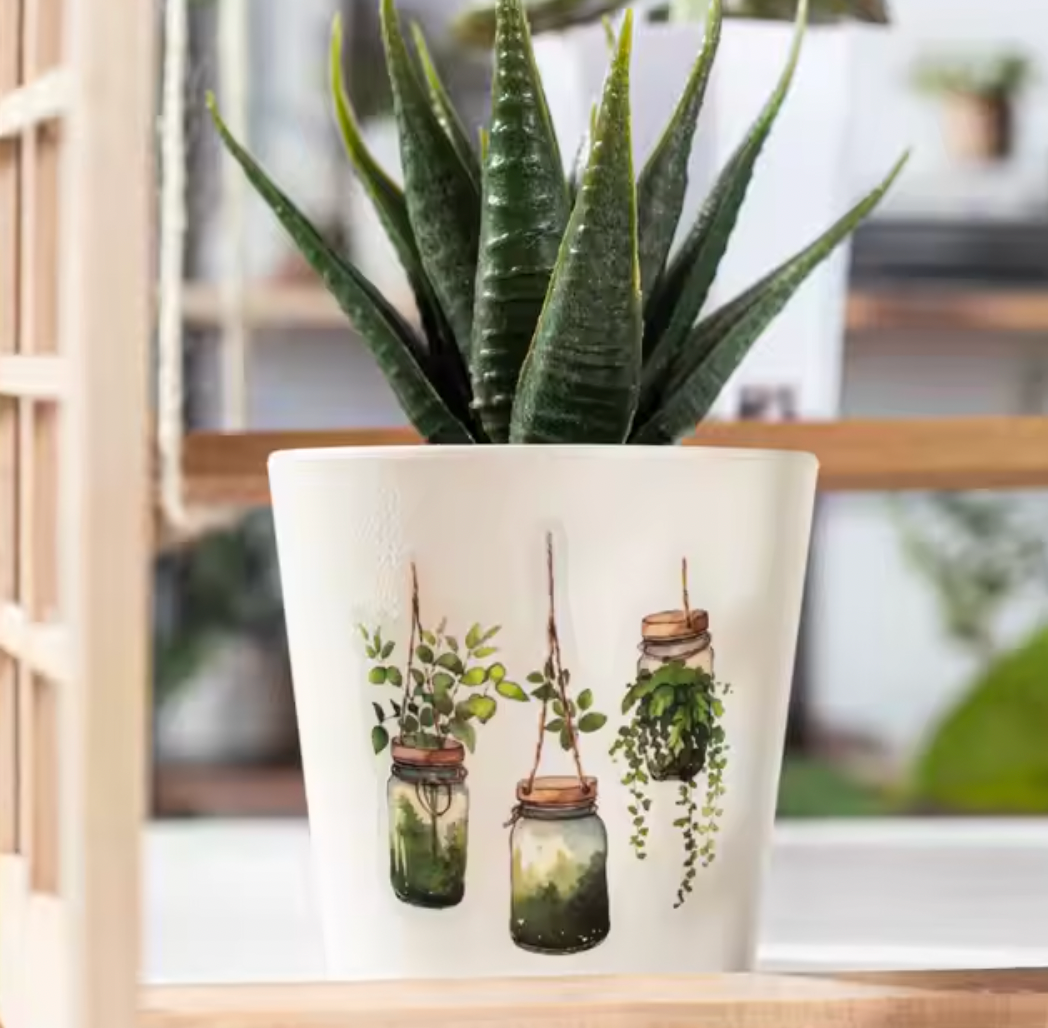 Rollo de stickers plantas colgantes