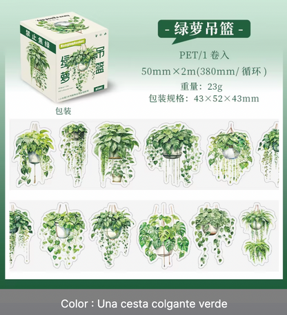 Rollo de stickers plantas colgantes