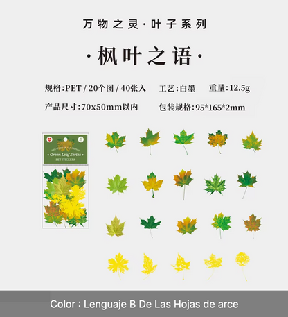 40 Stickers Hojas & hojas doradas