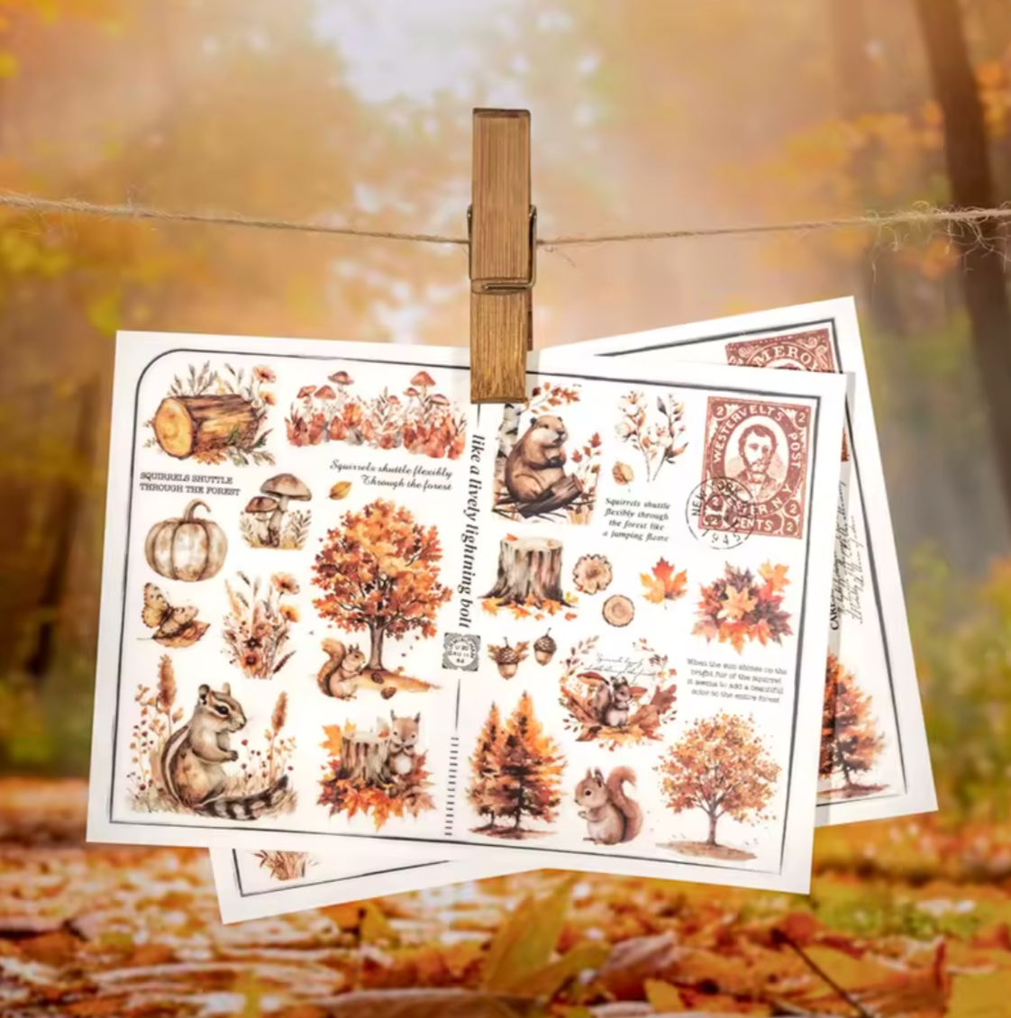 2 Hojas Transfer animales & naturaleza