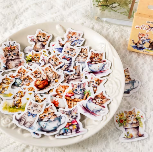 Cajita de stickers gatito