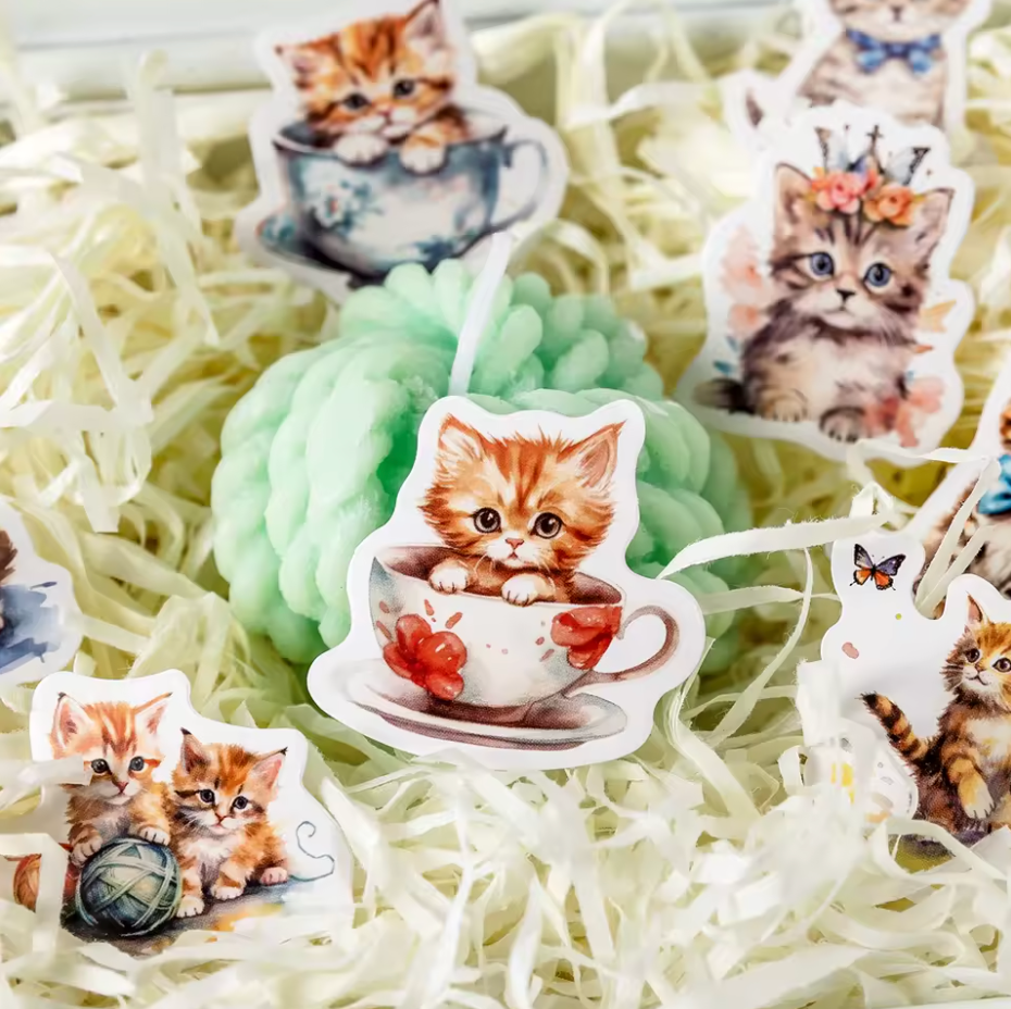 Cajita de stickers gatito